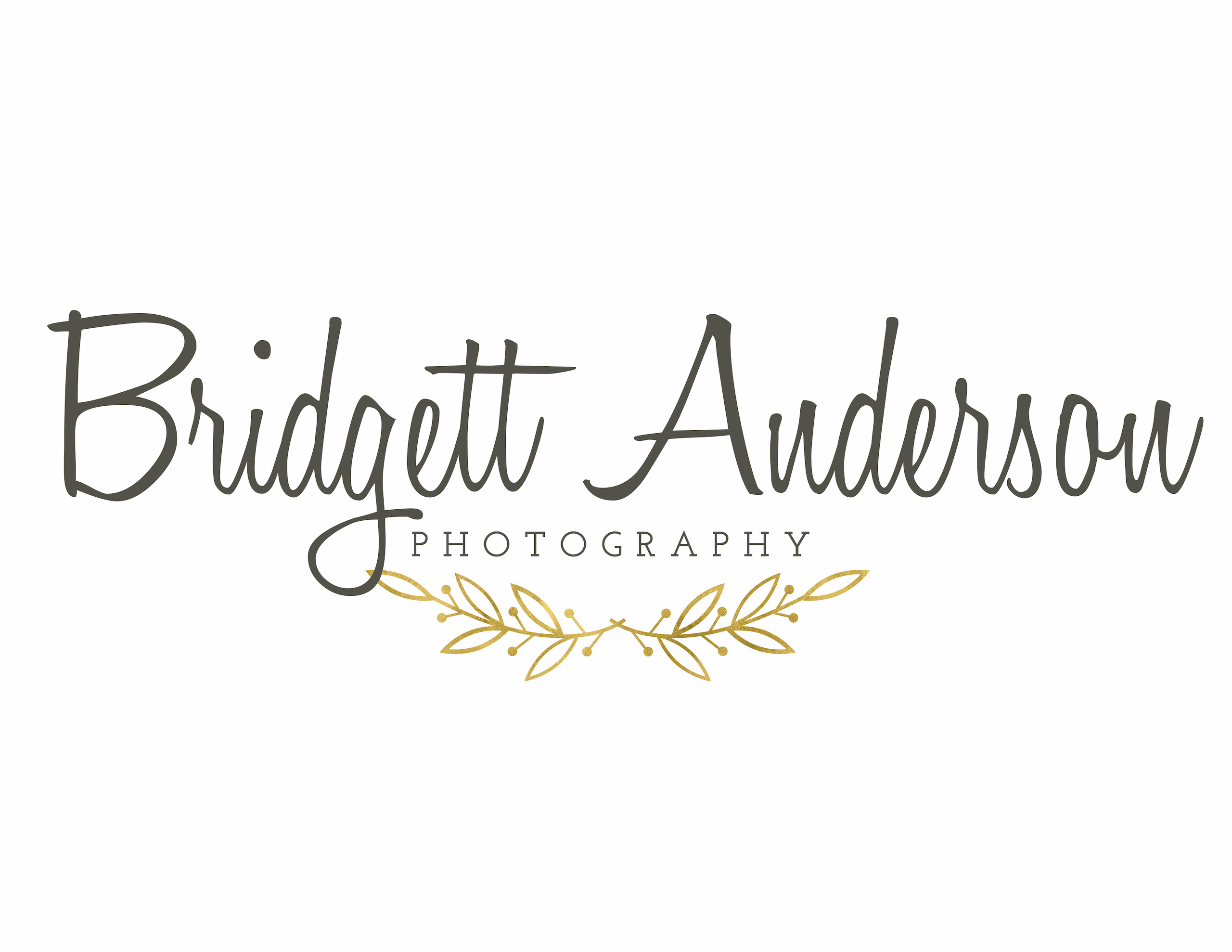 Bridgett Anderson Photography
